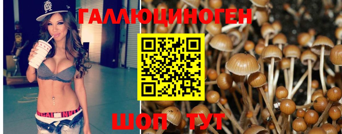 A-PVP Северобайкальск
