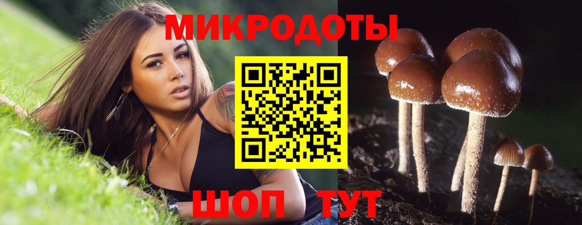 Галлюциногенные грибы мицелий Северобайкальск