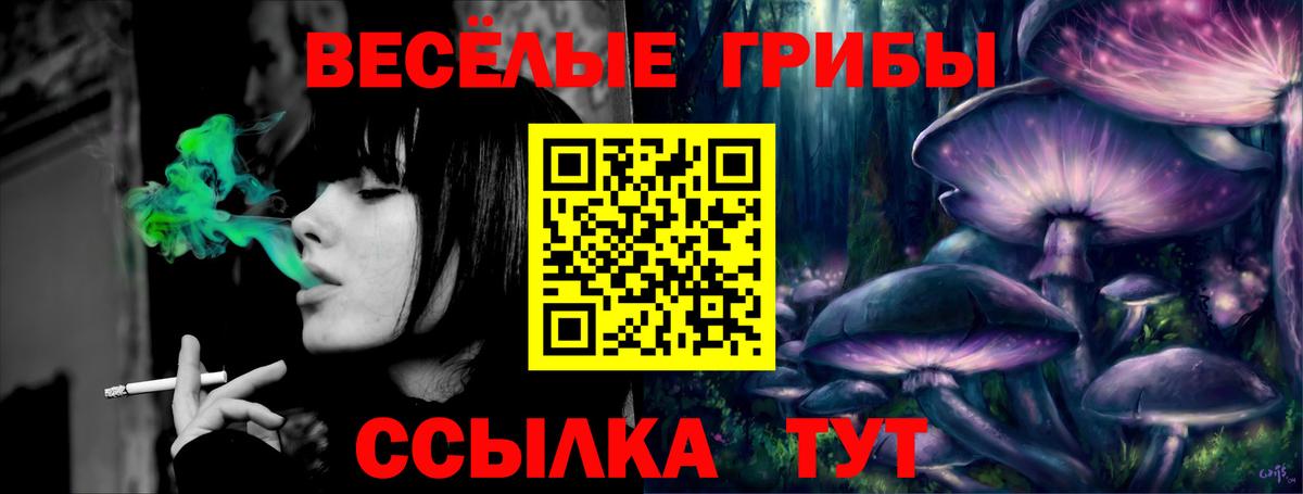 что такое   Вход с VPN  Псилоцибиновые грибы MAGIC MUSHROOMS  Северобайкальск  Галлюциногенные грибы Cubensis 